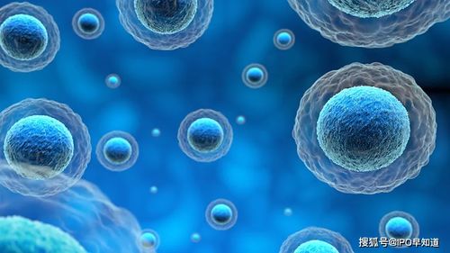 康立明生物啟動(dòng)輔導(dǎo),idg資本 鼎暉投資等為主要投資方