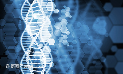 DNA分子高科技DNA分子的生物化學背景