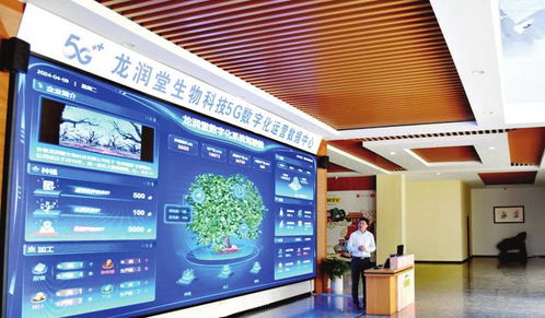 創(chuàng)新轉型乘風起數(shù)智新生態(tài)浪潮奔涌