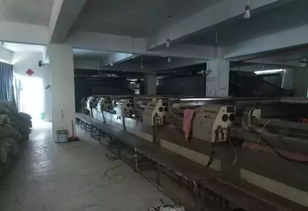 雙百行動顯成效 環保挑戰下的責任與擔當