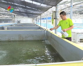 水產(chǎn)品藥殘損健康 養(yǎng)殖戶要把好安全關