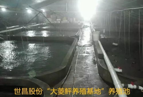 以先進典型引領高效漁業發展 世昌股份大力培育特種水產養殖示范戶