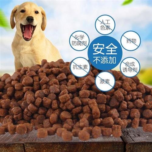 膨化狗糧加工機器寵物龍貓飼料生產線