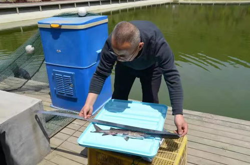 甘肅 天水又一水產養殖獲 農業農村部水產健康養殖示范場 稱號