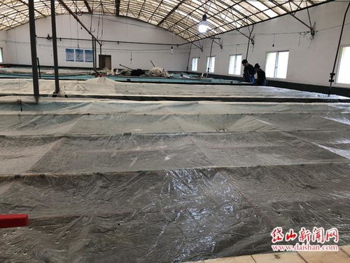 消除疫情影響 我縣水產(chǎn)養(yǎng)殖行業(yè)逐漸恢復生產(chǎn)