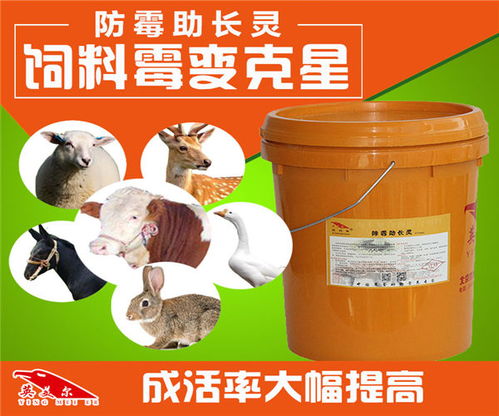 齊齊哈爾羊吃什么飼料生產廠商銷售,杜泊羊長骨架飼料生產廠家電話