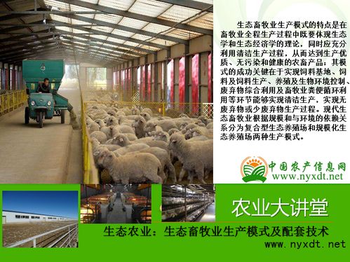 生態農業 生態畜牧業生產模式及配套技術