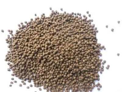 鑒別飼料優劣,只需要關注這兩個方面