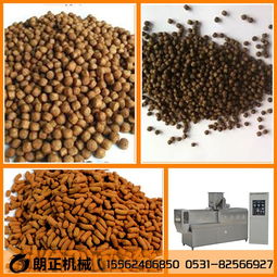 大型水產(chǎn)養(yǎng)殖飼料生產(chǎn)機器,全自動膨化魚飼料設(shè)備廠家貨源
