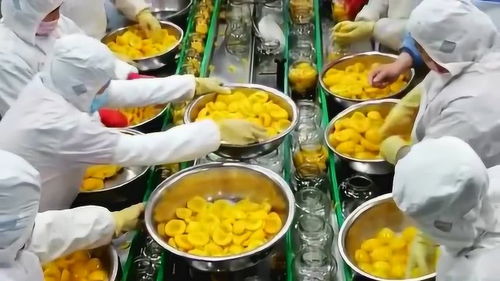 長這么大第一次知道,原來這就是食品加工廠的制作過程,這效率真是不一般