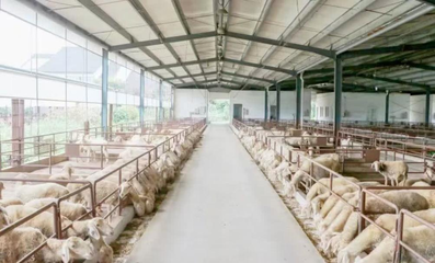 做好“土特產”文章 鹽城亭湖區繪就增收致富好“豐”景