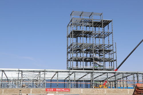 甘肅涼州牧原農牧項目施工現場