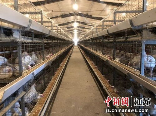 郵儲銀行 公司 農戶 貸款 解農戶貸款難題