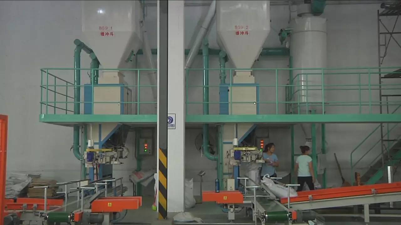 【沙縣項目攻堅】省重點項目--三明海大生物飼料生產項目正式投產!