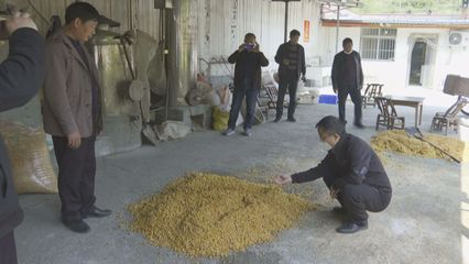 佳旺鹿業為鄖西縣金龍山村發展增添新動能