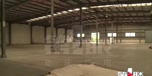 魚價上漲時,飼料廠停產無法供貨,難退養殖戶背巨債無料喂魚