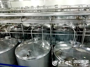 直擊乳制品生產流程 透明工廠 體驗日活動走進益膳房 臨沂新聞