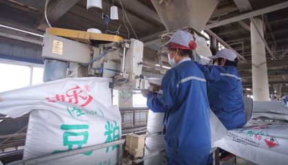 “桂”人相助,共克“十”艱!