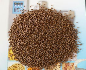 寵物飼料膨化機 玉米膨化機 小型膨化機