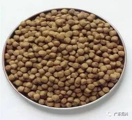 水產(chǎn)飼料的膨化料 革命 已然興起,這些技術要點你必須知道