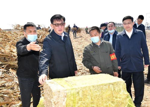 張志軍調(diào)研秸稈全量化處置工作時強調(diào) 加快推進秸稈離田進度全力抓好備春耕 提高秸稈綜合利用水平實現(xiàn)高質(zhì)量發(fā)展
