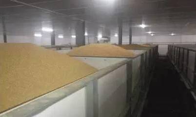 發(fā)酵飼料生產(chǎn)與應(yīng)用技術(shù)研究