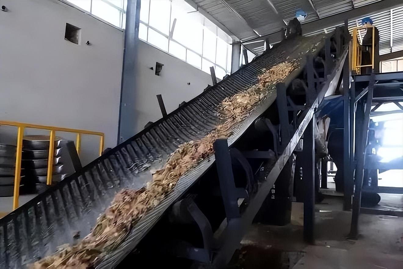 而他也憑借著蟑螂降解垃圾,生產(chǎn)昆蟲蛋白飼料,蟑螂粉,養(yǎng)殖肉雞,鯉魚